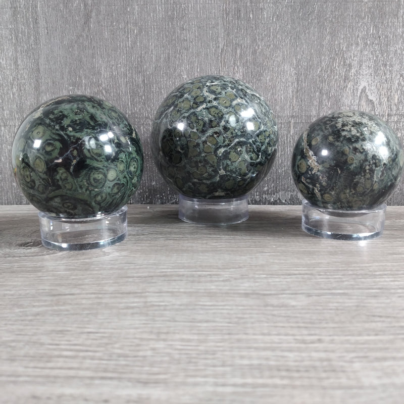 Kambaba Jasper Sphere 5 Lb Lot