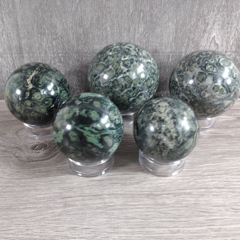 Kambaba Jasper Sphere 5 Lb Lot