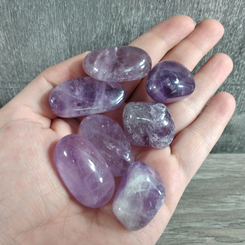 Amethyst Tumbled 1 LB