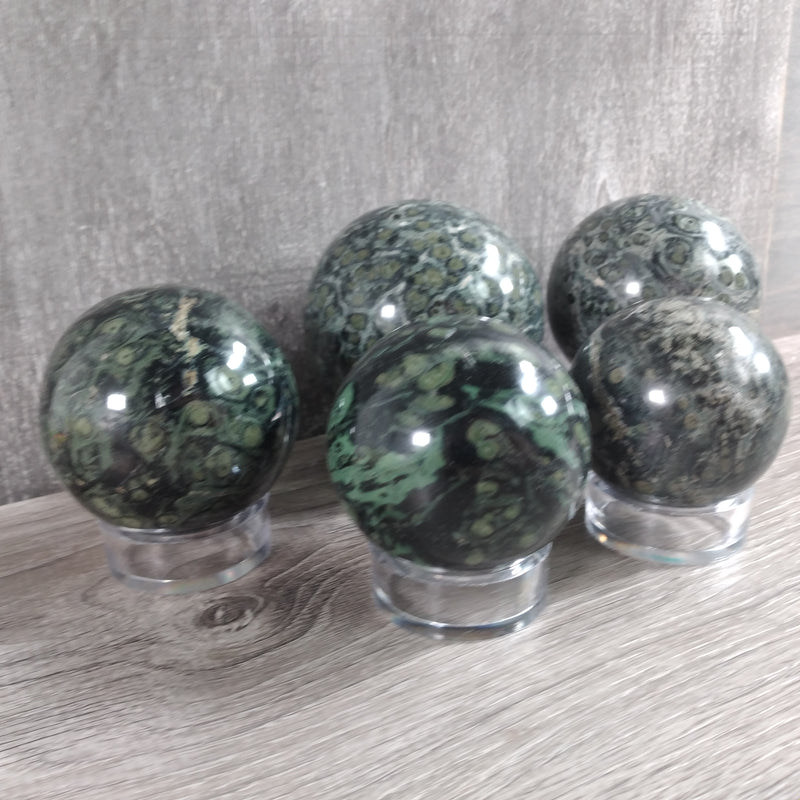 Kambaba Jasper Sphere 5 Lb Lot