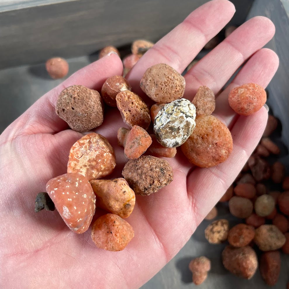 Natural carnelian rough stone wholesale mixed sizes