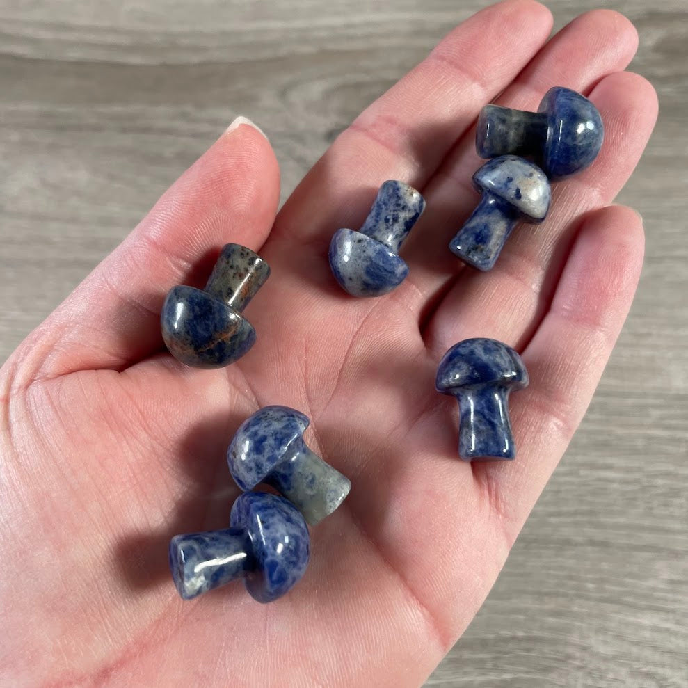 Sodalite small natural stone mushroom carving for metaphysical gift shops