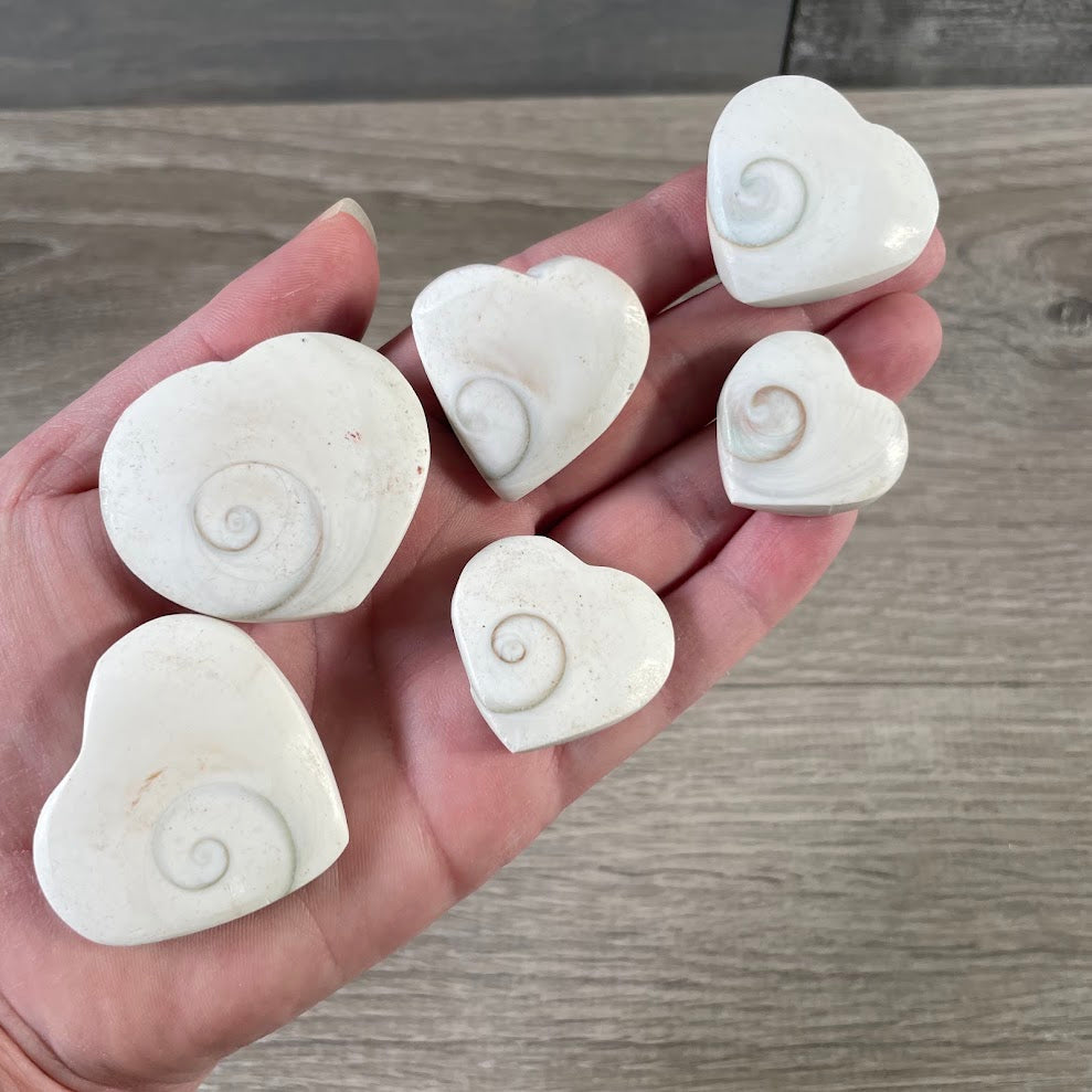 Metaphysical Shiva Eye Shell heart gifts for altar decor and meditation spaces