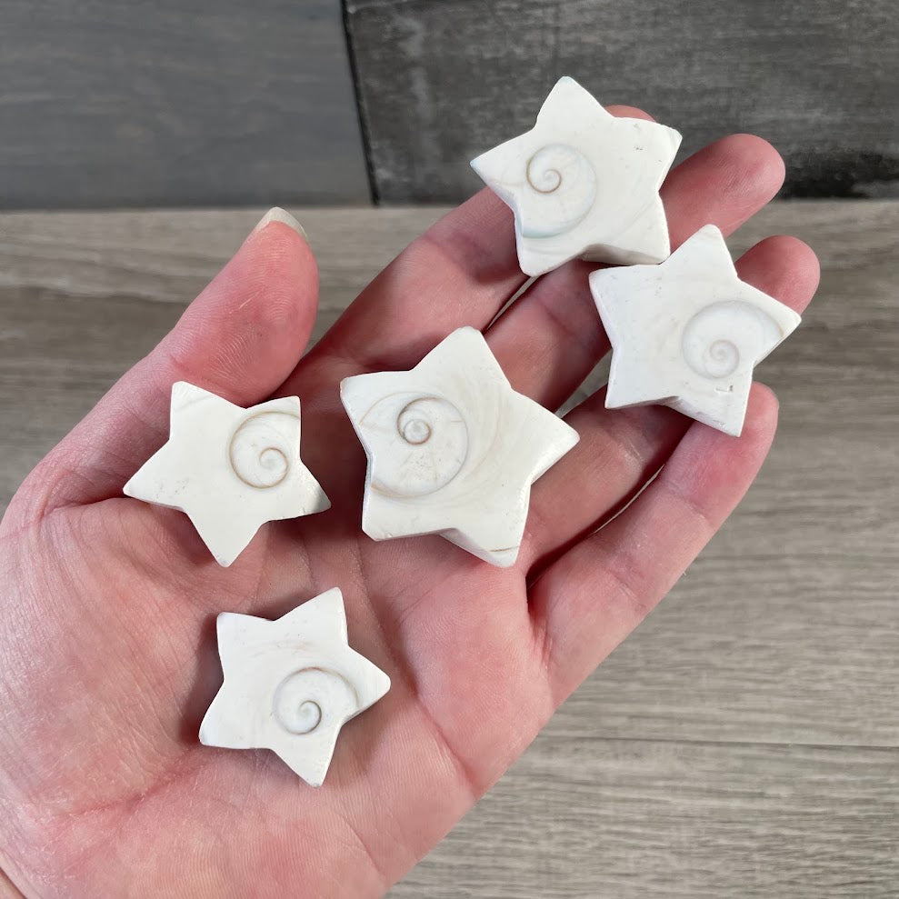 Star shaped wholesale Shiva Eye Shell decor pieces for crystal shops and gift stores