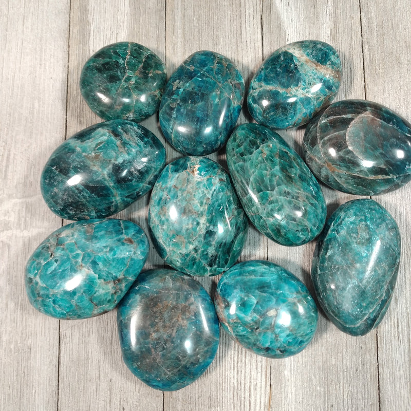 Blue Apatite Small Palm Stone 1.75 inch