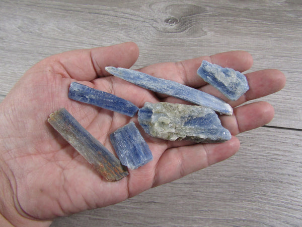 Blue Kyanite mixed size blades