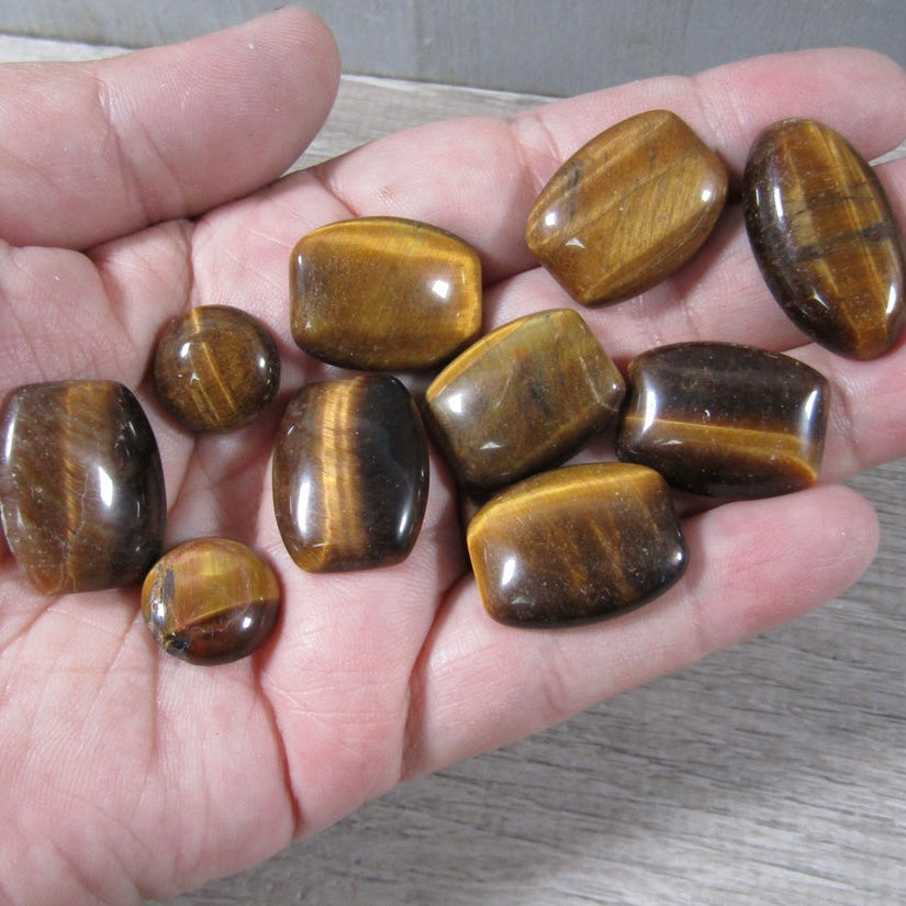 Tiger Eye Cabochons Set of 10