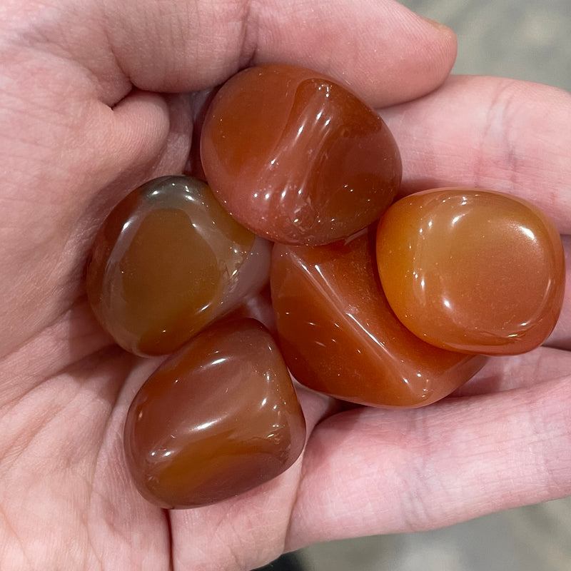 Carnelian 3/4” plus Tumbled 1 lb