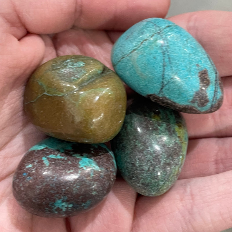 Peru Turquoise 1” Tumbled 1 Lb