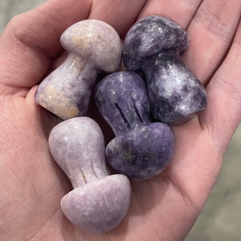 Gemstone Mushrooms About 1 1/4”+