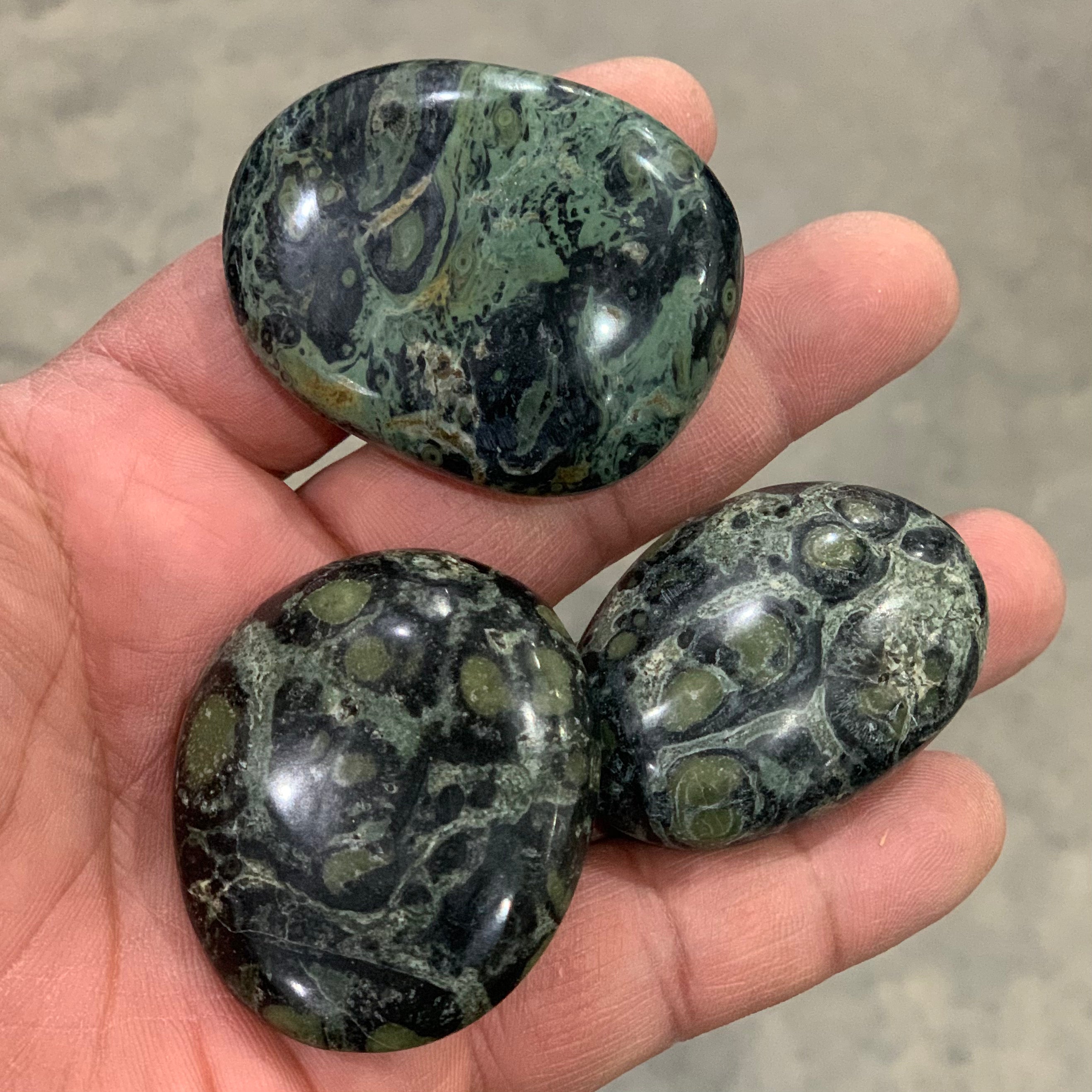 Kambaba Jasper Palm Stone