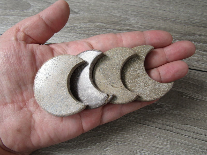 Dinosaur Bone 1.75 inch + Moon