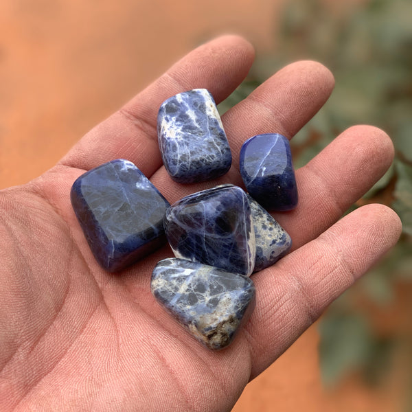 Sodalite 1” Tumbled 1 LB