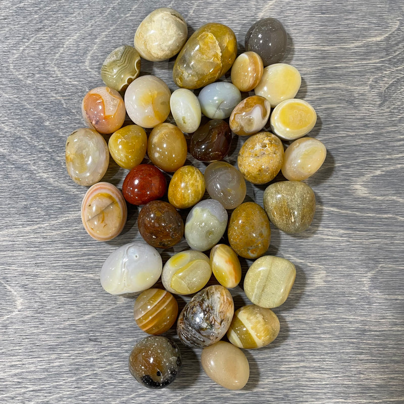 Yellow Persian Agate Tumbled Stone 1 LB