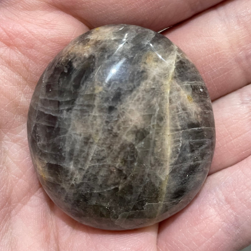 Black Moonstone Palm Stone