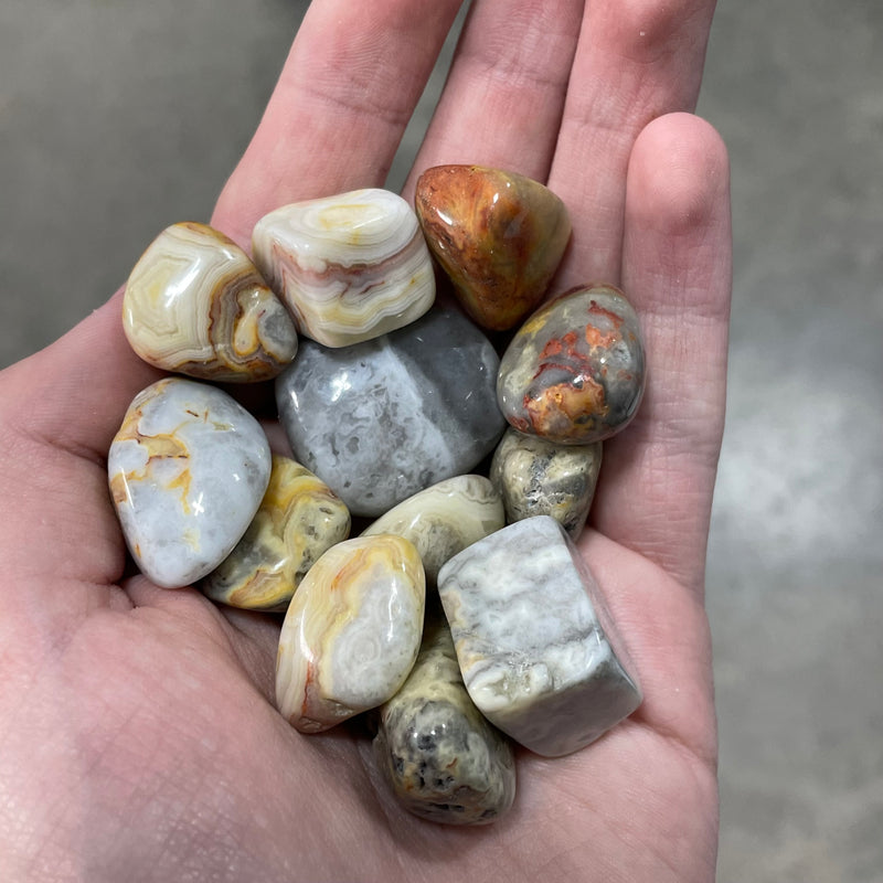 Crazy Lace Agate 3/4" Tumbled 1 Lb