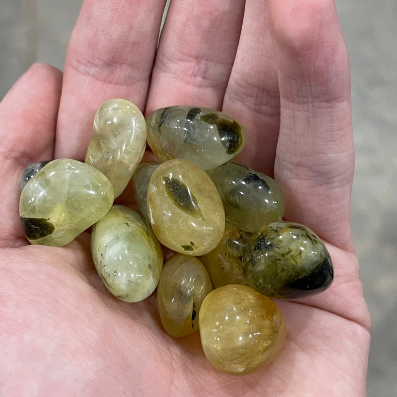 Prehnite Golden Tumbled 1 Lb