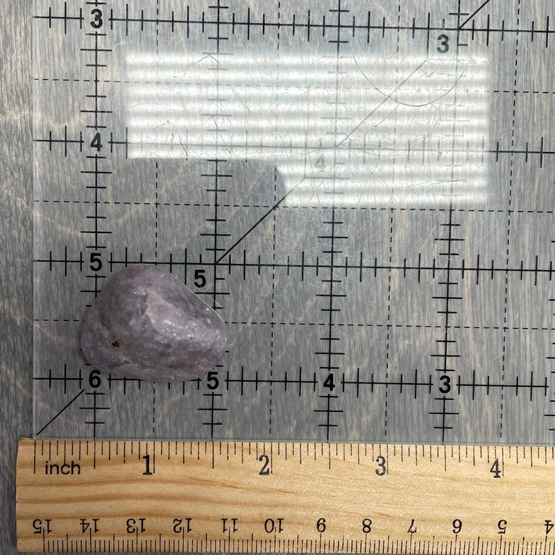 Lepidolite About 3/4” plus Tumbled 1 lb