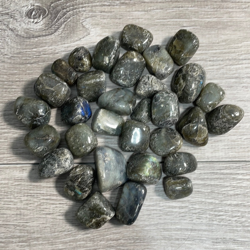 Labradorite Tumbled 1 LB