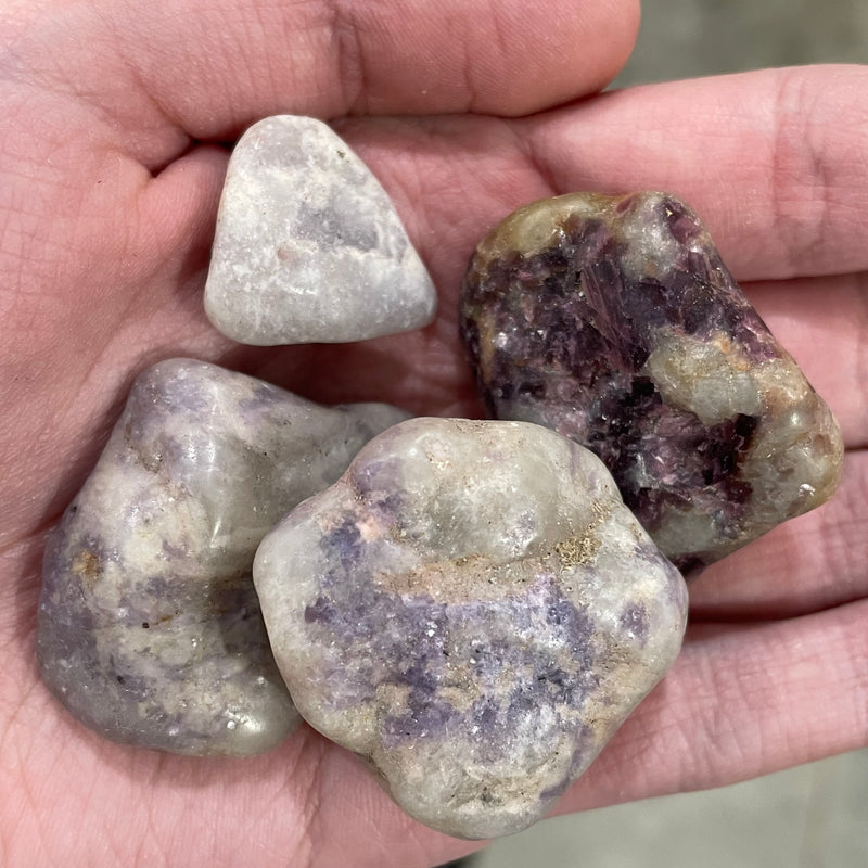 Lepidolite About 3/4” plus Tumbled 1 lb