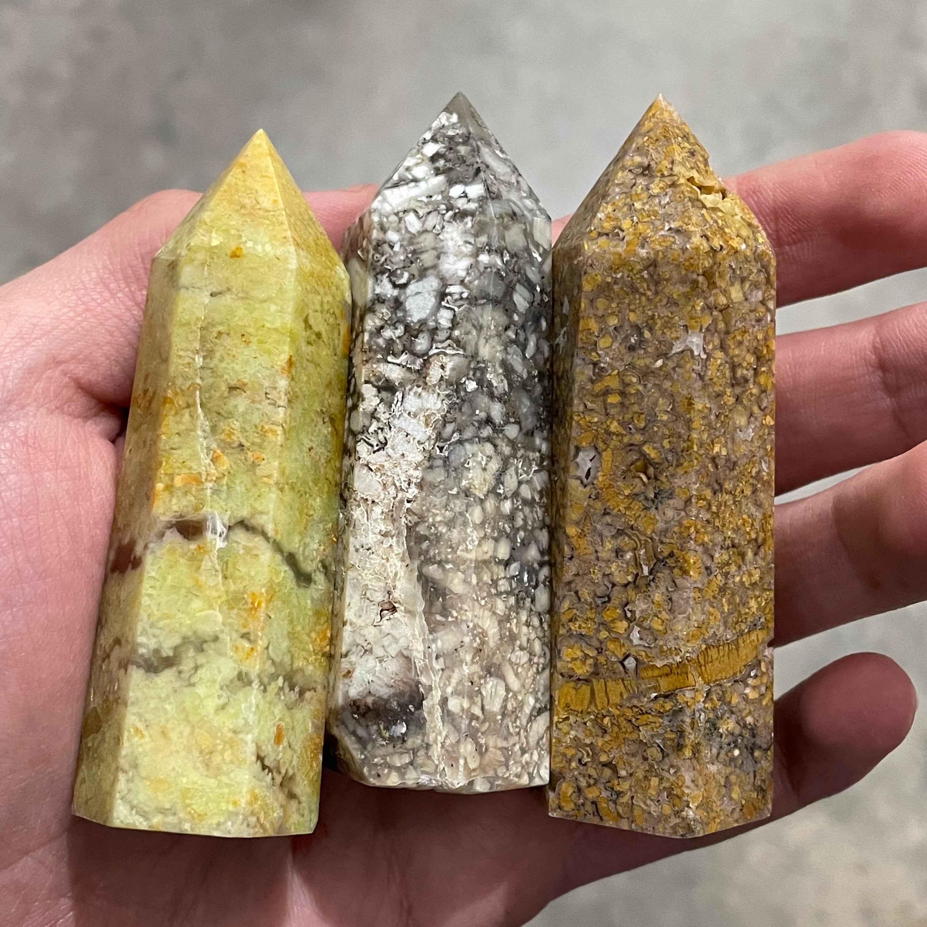 Coral Fossil 2 1/2” Plus Obelisk