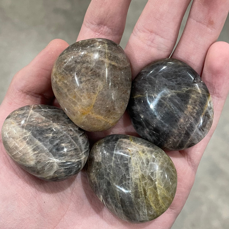 Black Moonstone Palm Stone