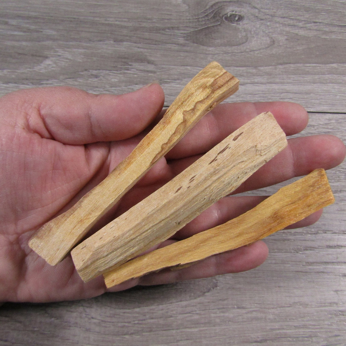 Bulk Palo Santo wood sticks for metaphysical stores and gift shops